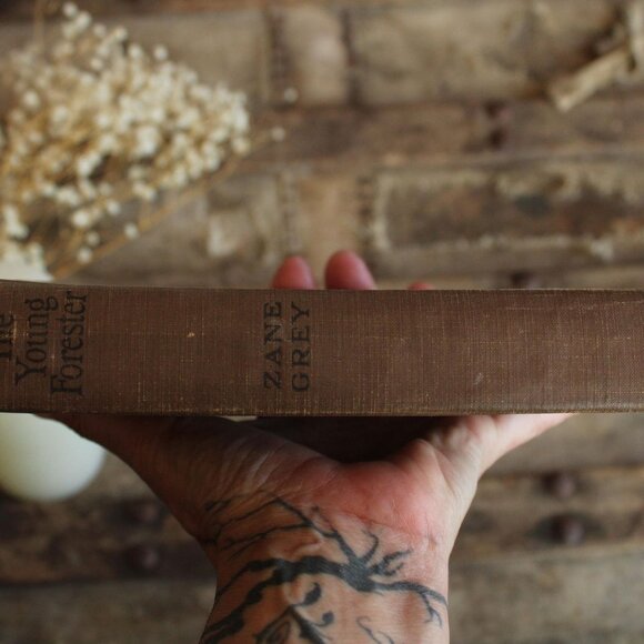 Vintage 1910s Book, "The Young Forester" by Zane Grey, Grosset and Dunlap Editio - Picture 3 of 10
